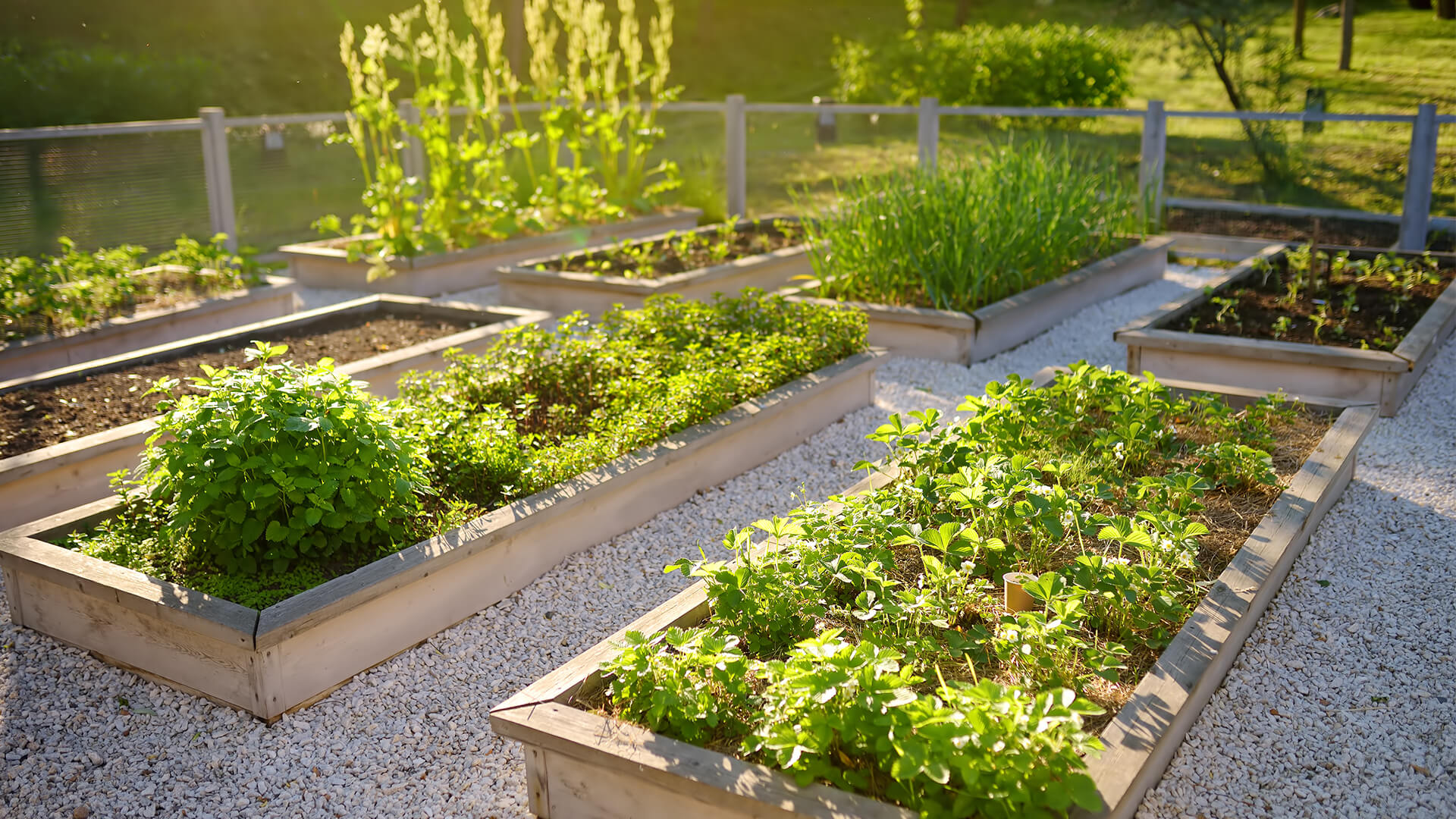 sustainable gardening